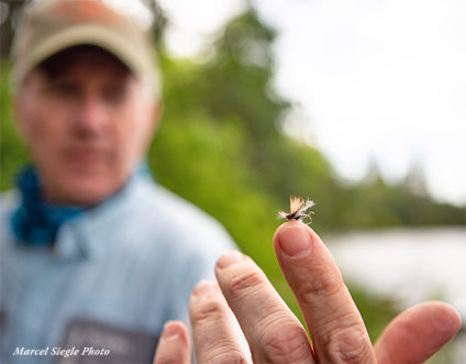 Top 5 Flies for Fly Fishing Northern California