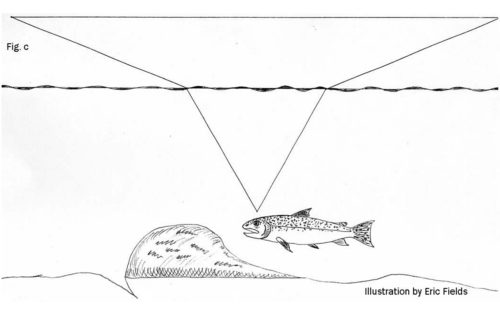 Sight Windows - Fig C