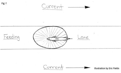 Sight Windows - Fig F