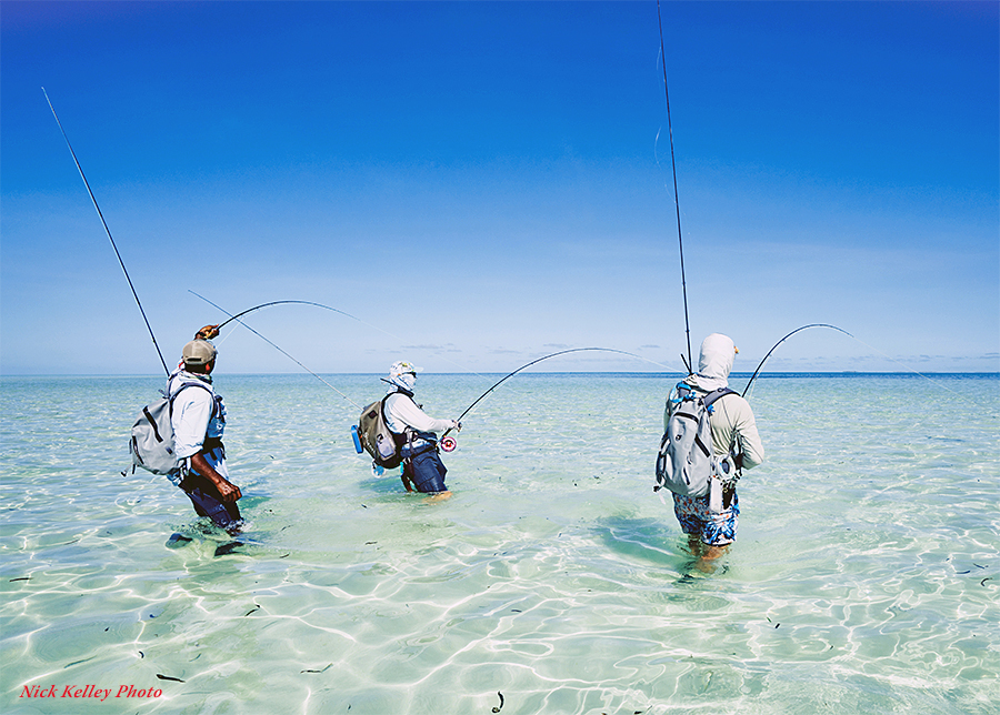 Essential Gear for Fly Fishing the Seychelles