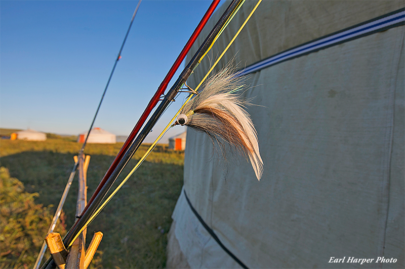 Essential Fly Rods for Fly Fishing for Taimen in Mongolia