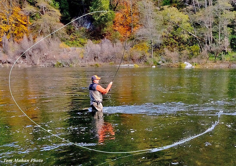 HARD GAMES: RATIONALIZING THE SPEY ROD AND SWINGING FLIES FOR