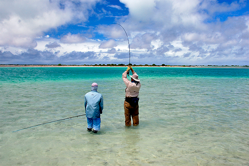 Flats Bonefish Shrimp Pack's