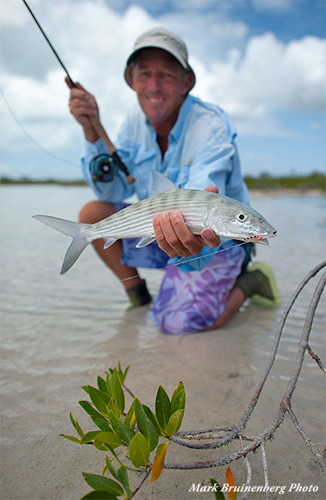 Mexican Yucatan bonefish