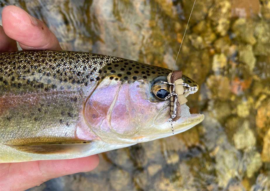 Fly Fishing On The Crane Creek, Missouri - The Perfect Fly Store