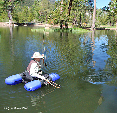 Peaceful Fishing by the River