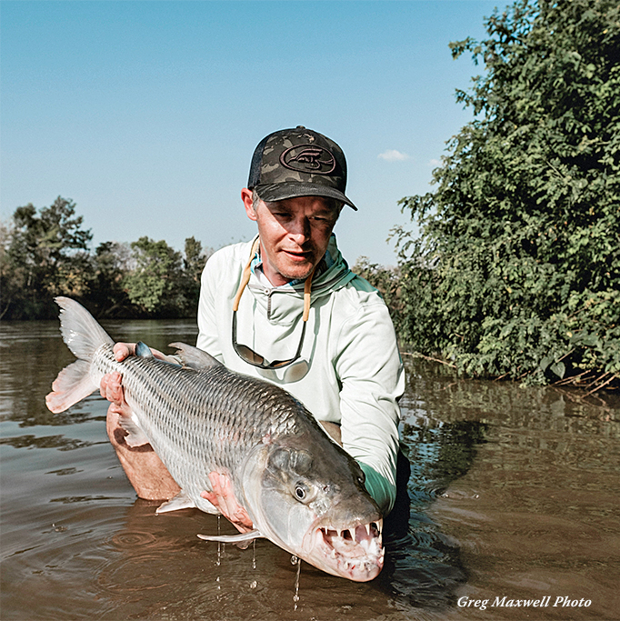 My largest Tigerfish