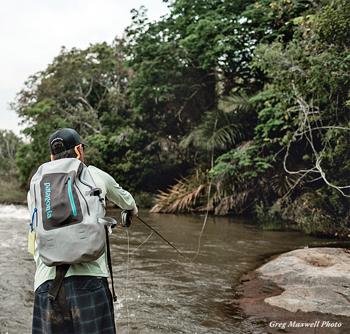 Fishing the pocket water in the rapids