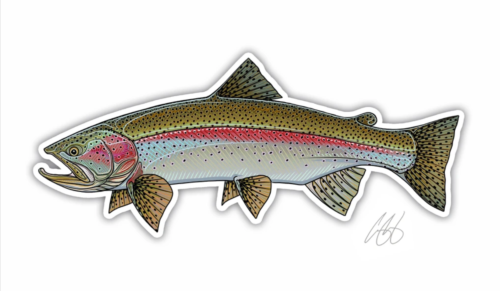 Casey Underwood Fish Decals - Rainbow Trout