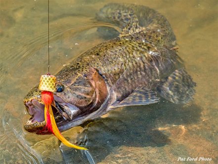 Peacock Bass Cool Air Series UPF Shirt - Predator Fly Gear