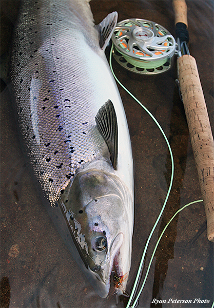 Home – Restigouche River Lodge  An Atlantic Salmon Fly Fishing Lodge