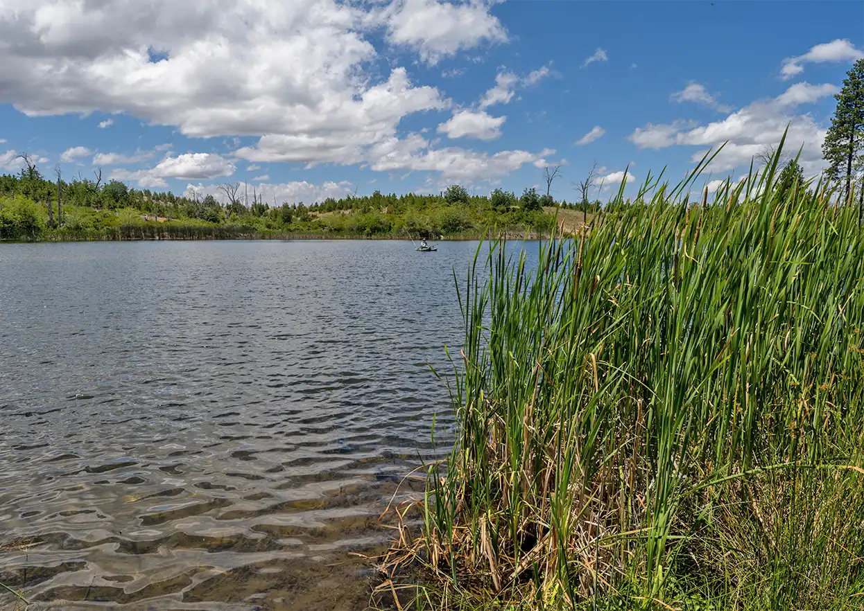 The Fly Shop Travel Image