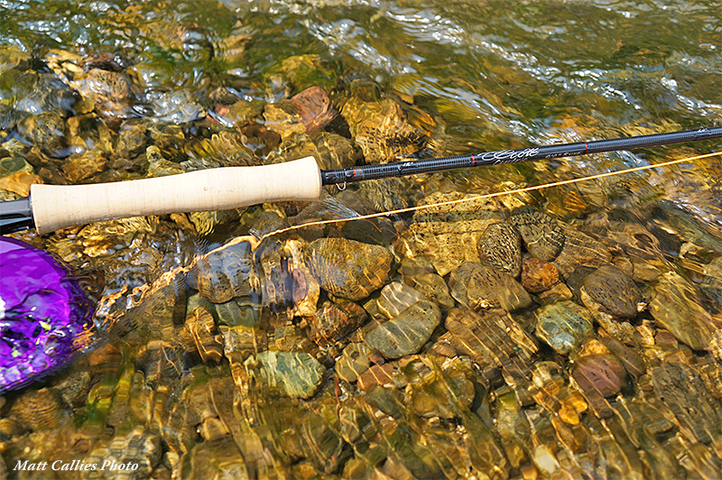 Tangle  Global FlyFisher