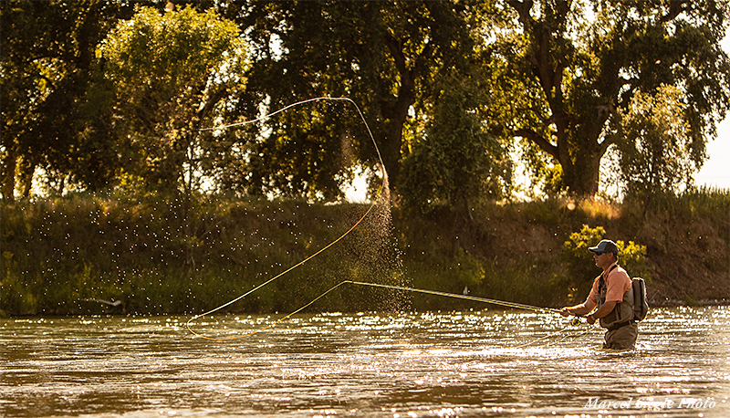 Chris King Trout Spey on the Lower Sac