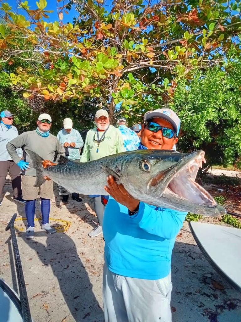 Large barracuda at ESB Lodge