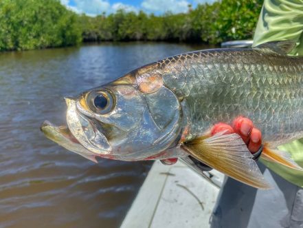 Man with ESB Tarpon