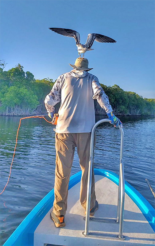 Bird nesting on anglers hat at ESB Lodge