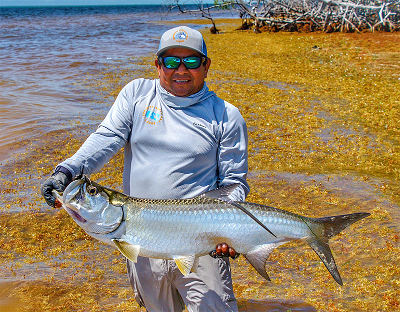 Large tarpon at ESB Lodge