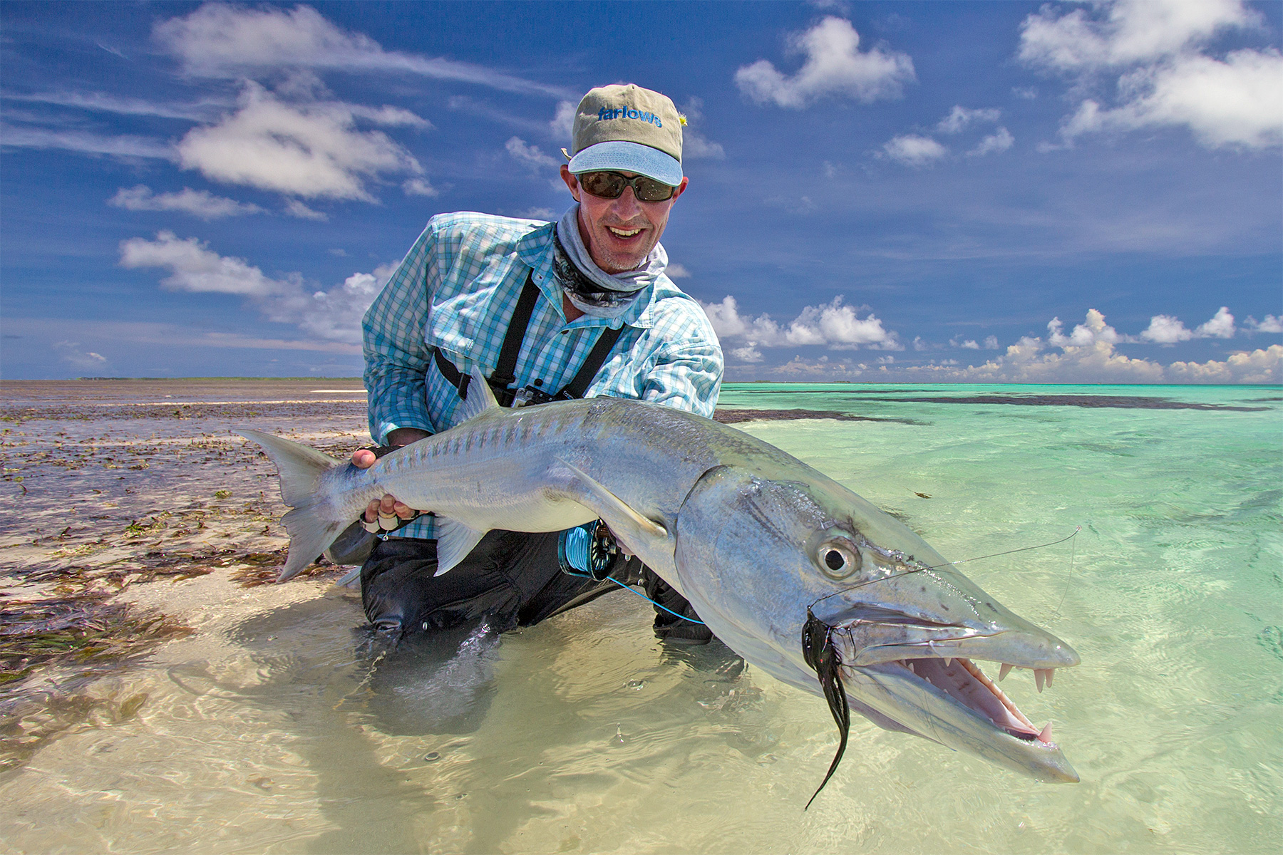 Barracuda Saltwater Fish Species - The Fly Shop