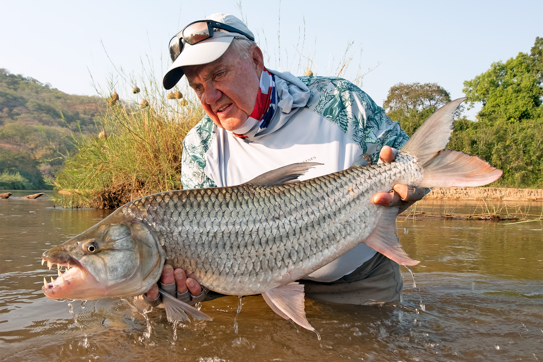 Tigerfish - The Fly Shop