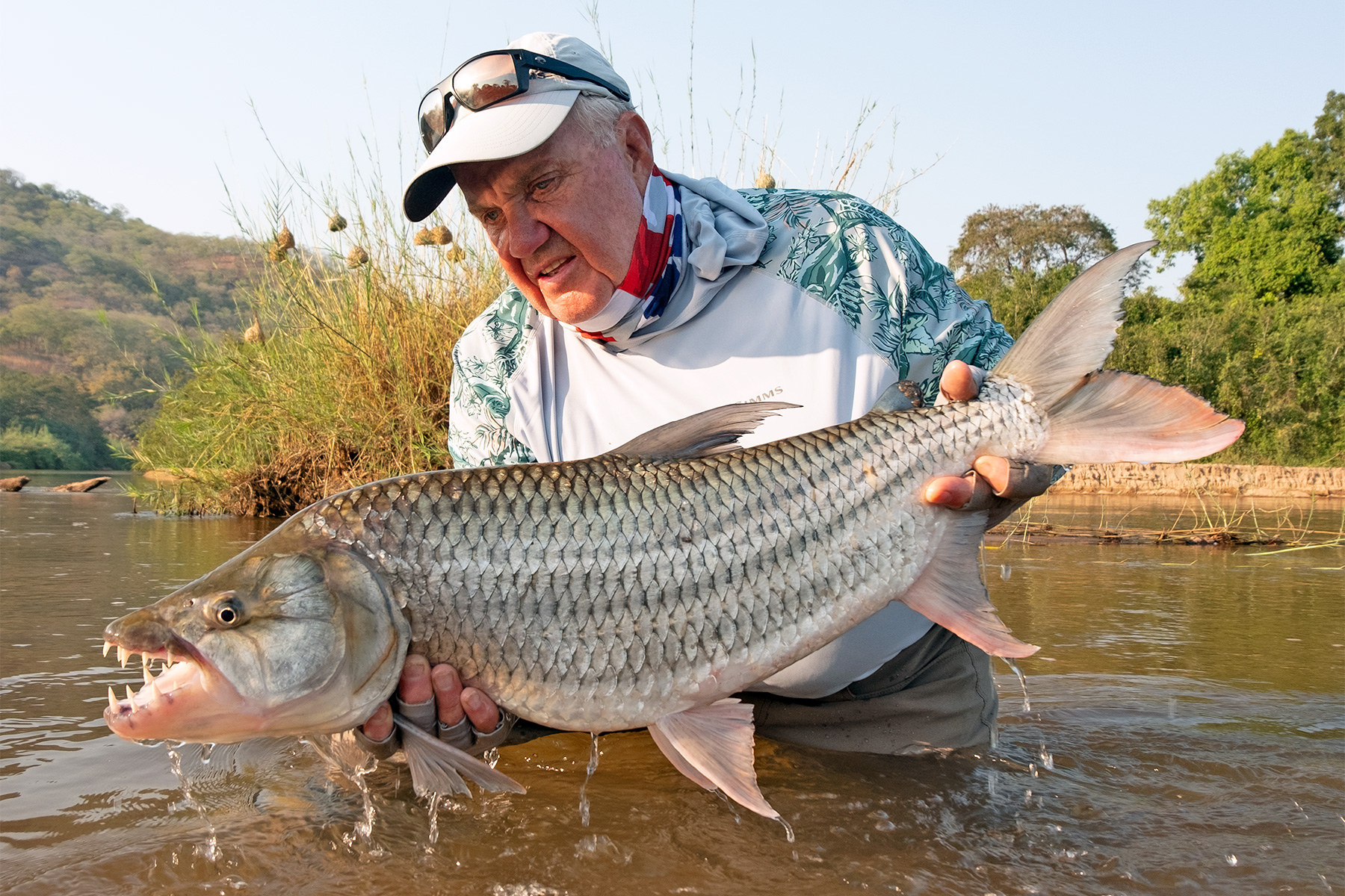 Tiger Fish Goliath Tigerfish Fieldsports Journal