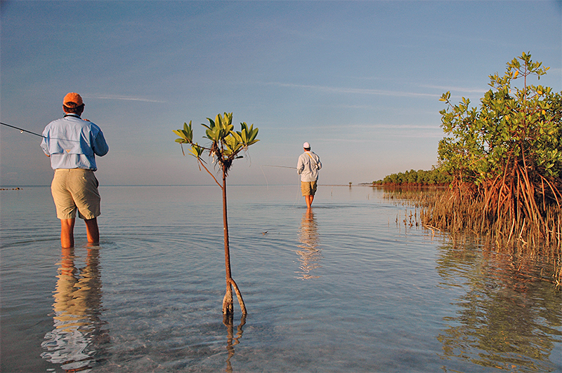 Anglers wading the flats of Grand Bahama Island
