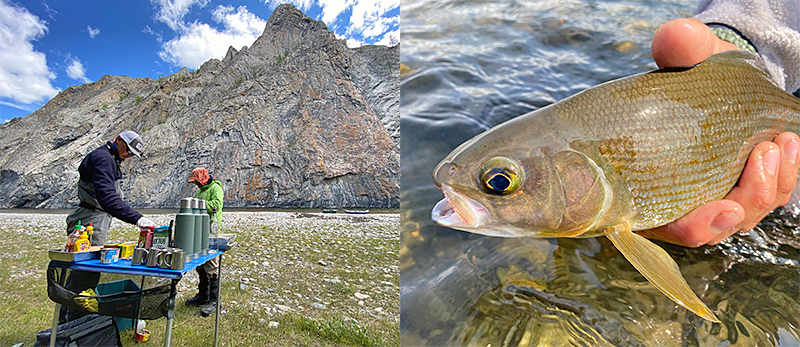 Shore lunch and angler holding a grayling