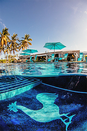 Soul Fly Lodge swimming pool view