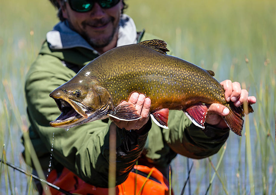 Mighty Brookie Fishing Hoodie - Brook Trout - One Last Cast Gear