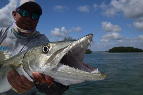 Man with ESB Barracuda