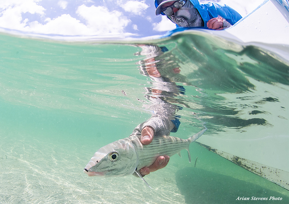 Releasing a bonefish while wearing a Coolnet UV+ Buff