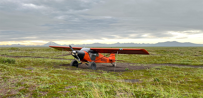 Phil's Super Cub - seats 4 people