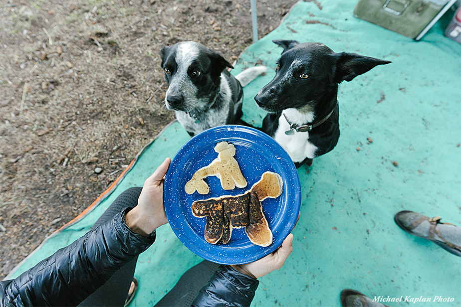 Dog shaped pancakes for the dogs