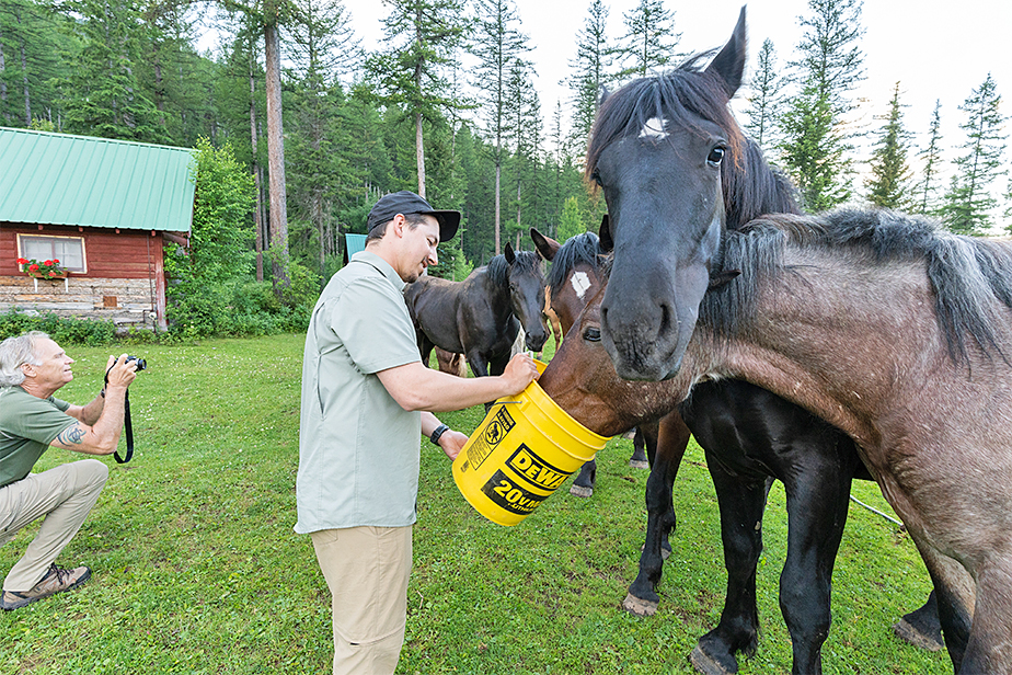 Mikey Kaplan feeding the horses