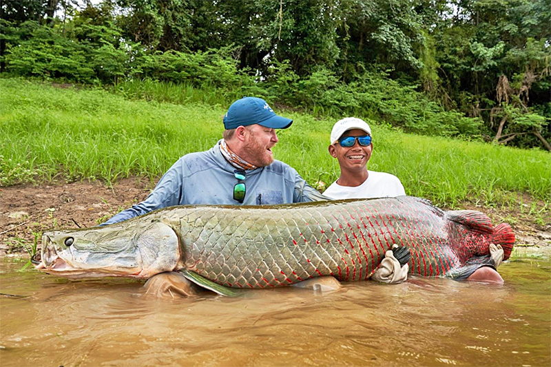 Justin Miller holding an arapaima in Brazil