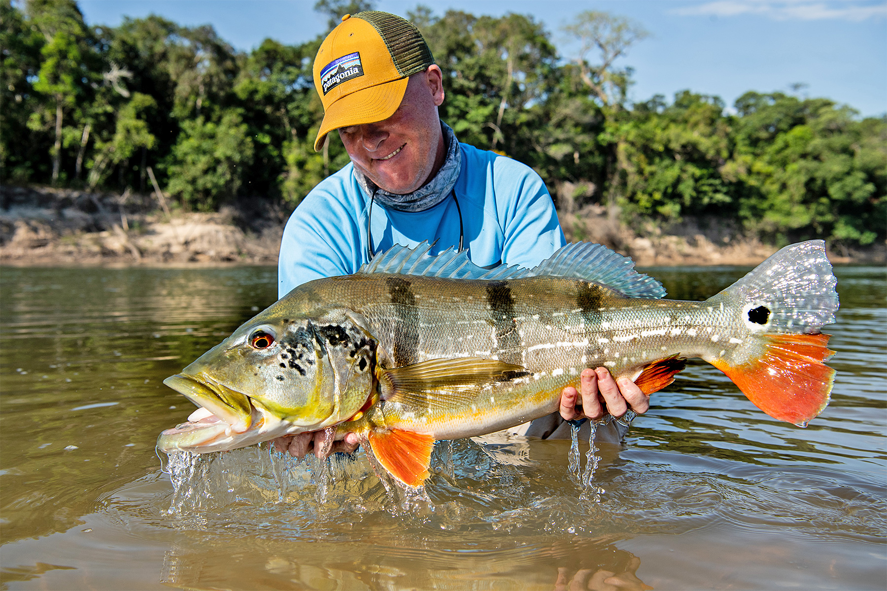 The Fly Shop Travel Image