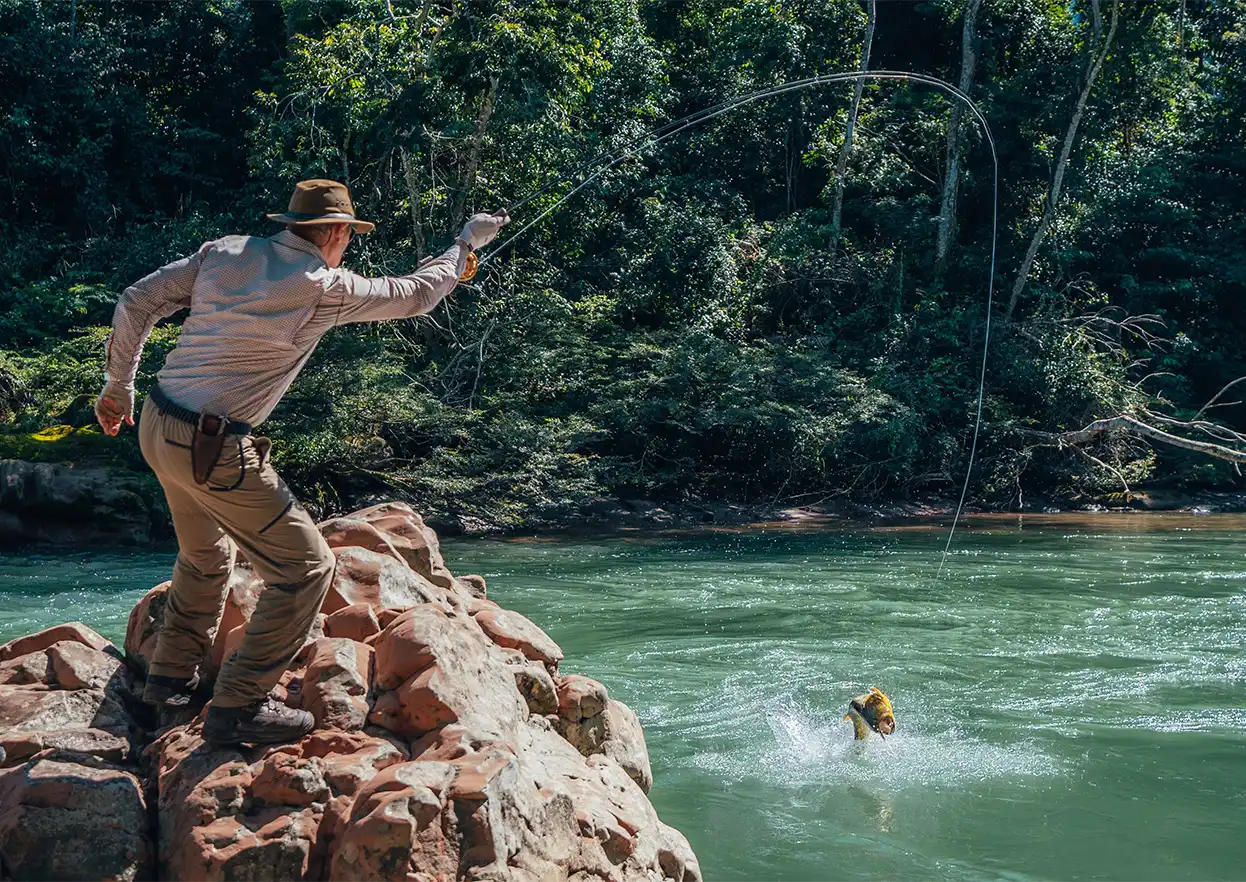 The Fly Shop Travel Image