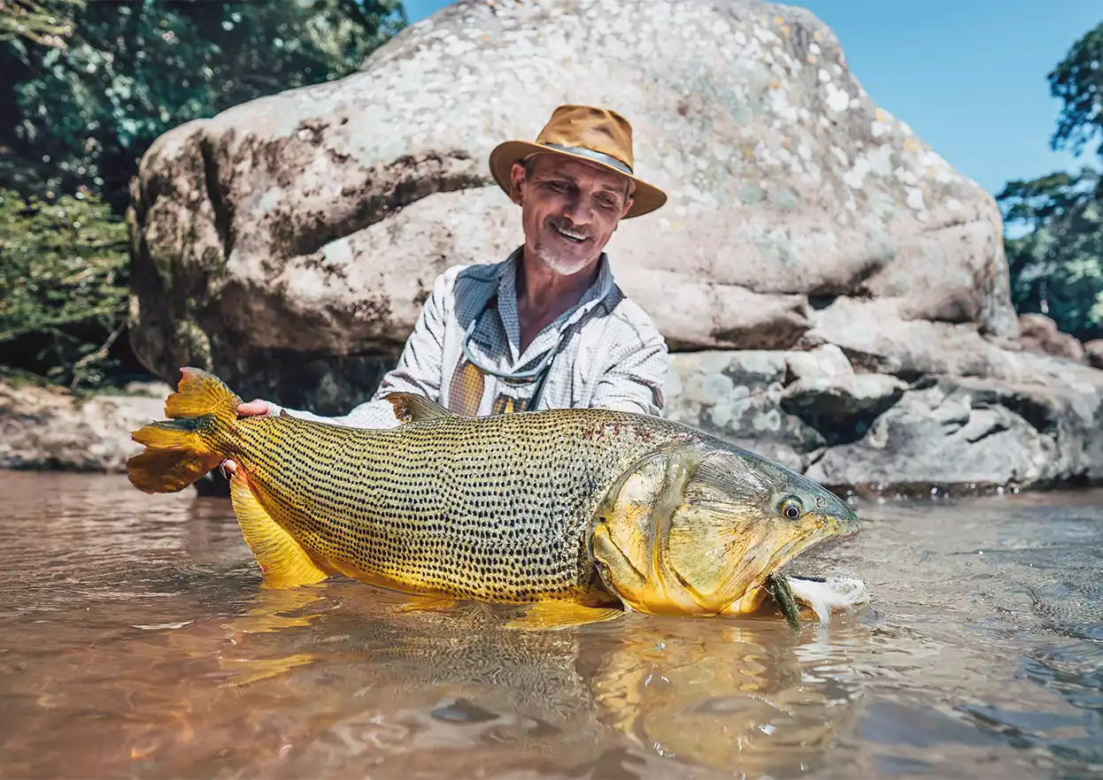 The Fly Shop Travel Image