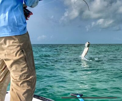 ESB Tarpon Jumping