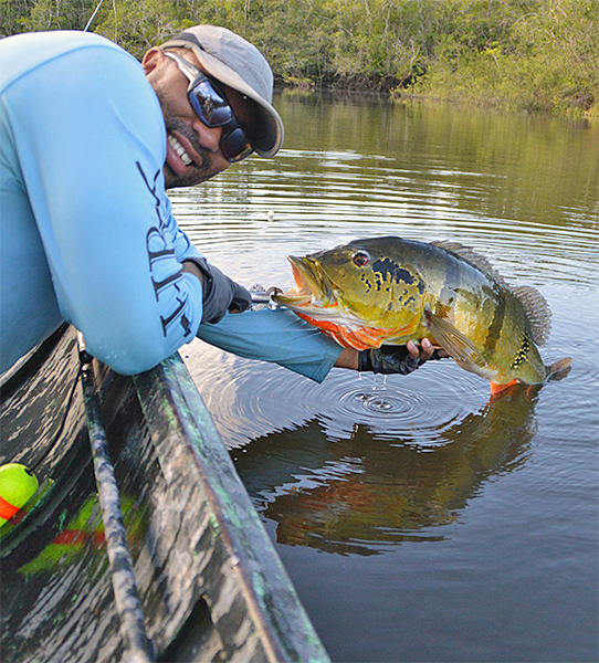 Alex Zapata holding a peacock bass in Colombia