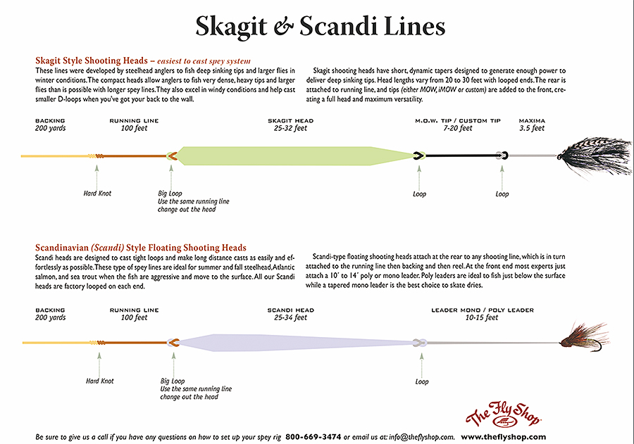 Skagit and Scandi Lines chart