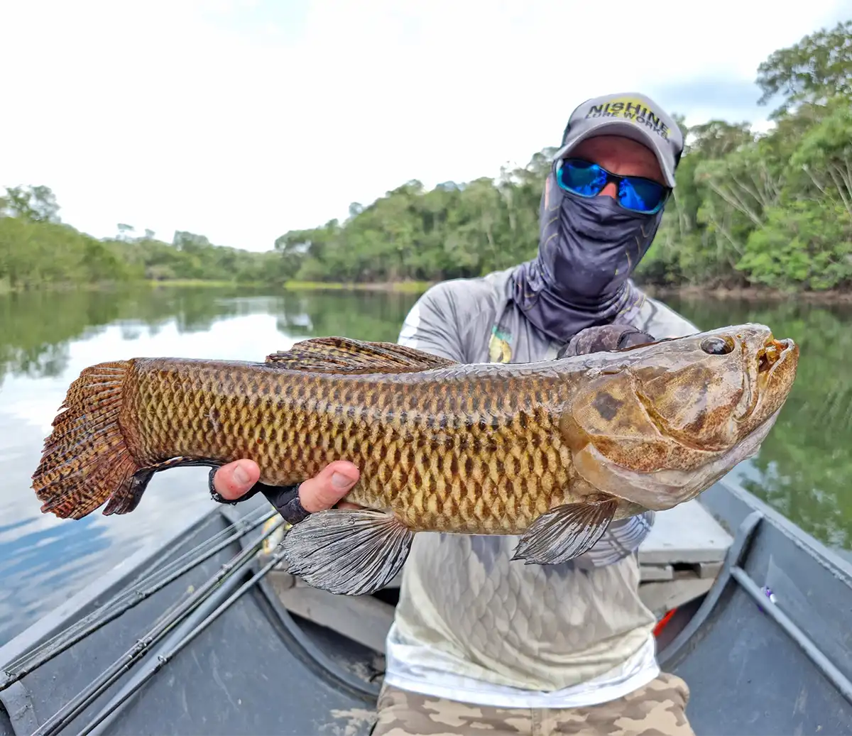 The Fly Shop Images