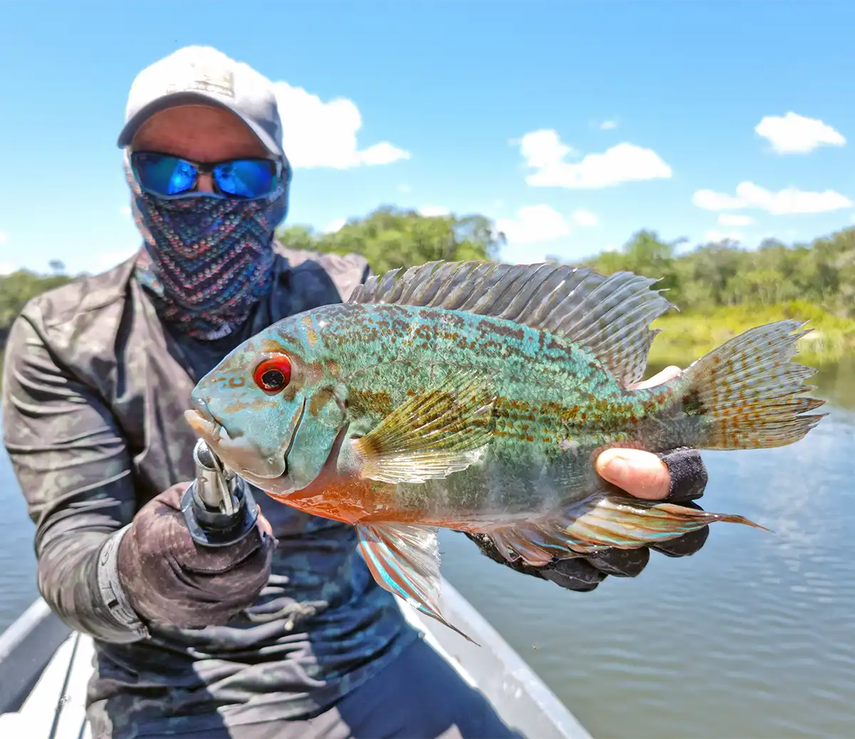 The Fly Shop Images