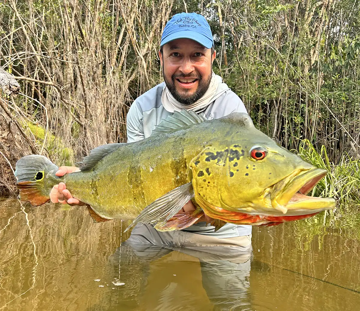 The Fly Shop Images