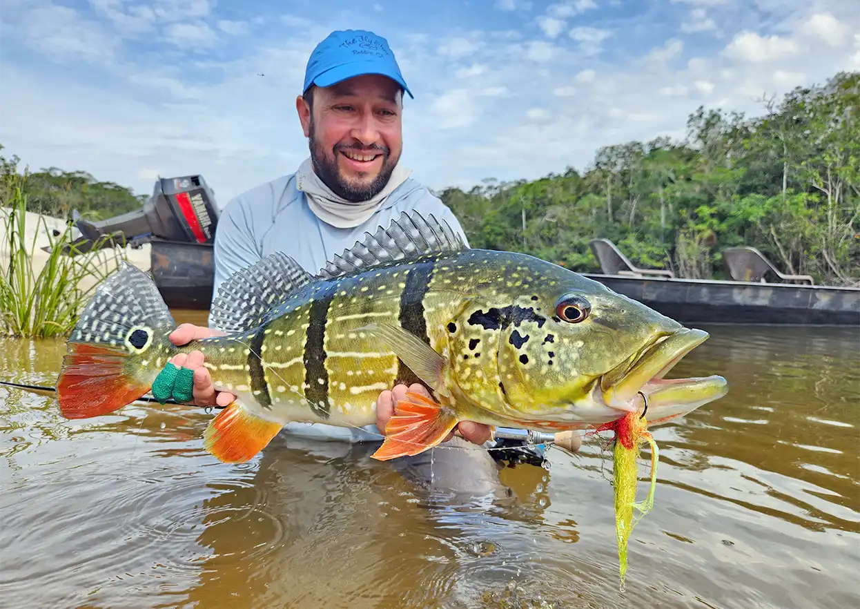 The Fly Shop Travel Image