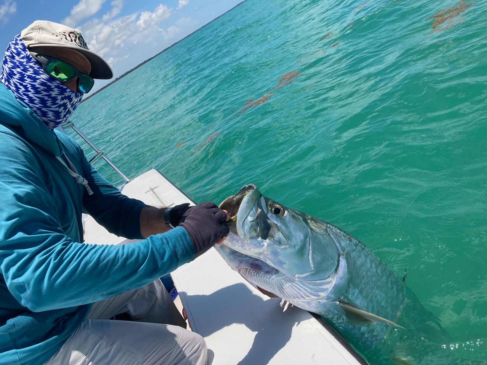 ESB Guide with Tarpon