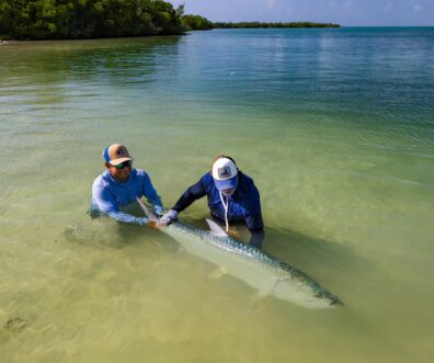 ESB Lodge Tarpon Release