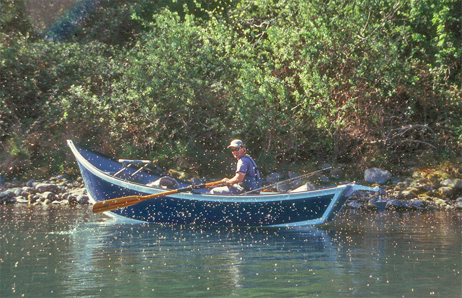 Flying insects in front of a drift boat