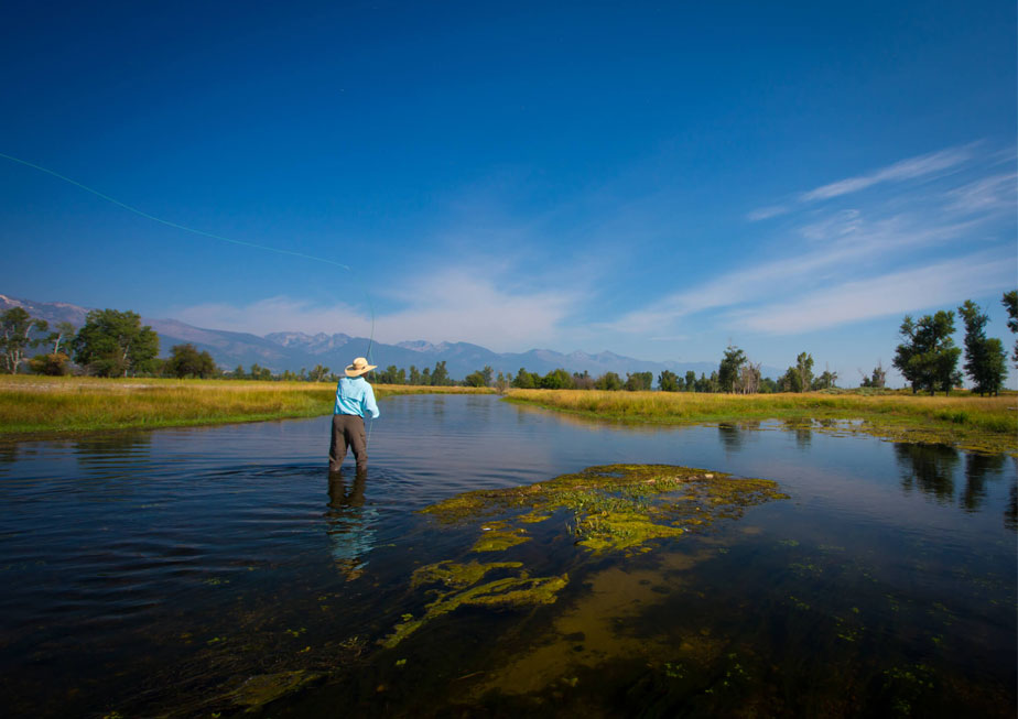 The Fly Shop Travel Image