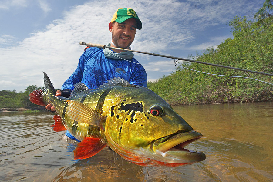 Jose Bravo with a large peacock bass at Rio Mataveni